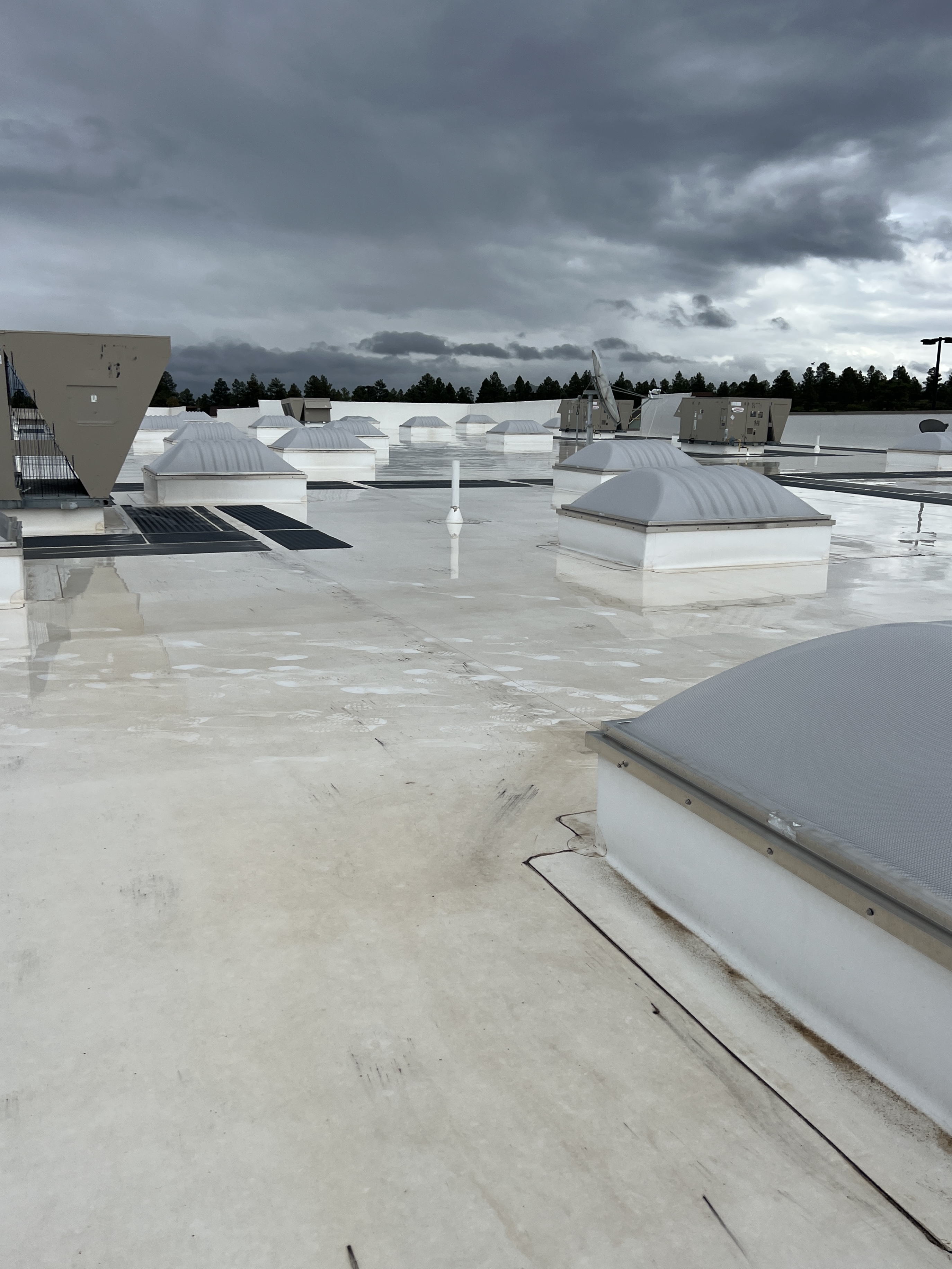 Commercial Roofing Services