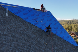 Mint Roofing Project